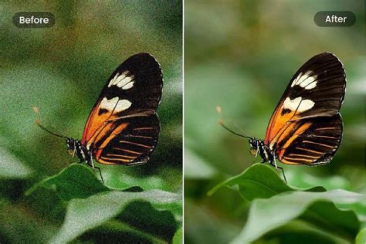 What is needed to start an online business in California?