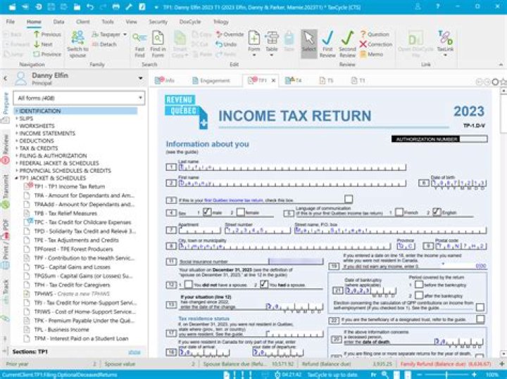 What is TurboTax document number?